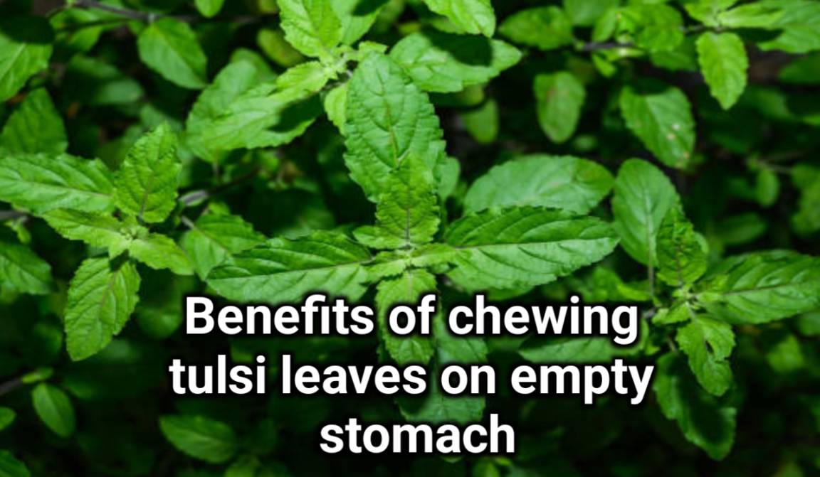 Tulsi Health Benefits